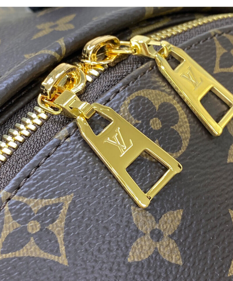 Louis Vuitton Palm Springs MM M44874 Brown